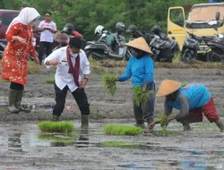 Mentan: Produksi Sektor Pertanian Terus Tumbuh di 2021