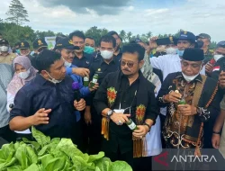 Mentan Minta Petani Tidak Bergantung Pada Pupuk Subsidi