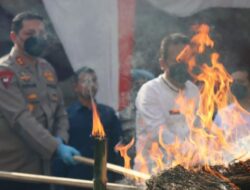 Kapolda Aceh Pimpin Pemusnahan 36 Kg Sabu dan 411 Kg Ganja