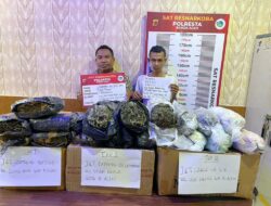Polisi Tangkap 2 Pria Pengirim Ganja Melalui Ekspedisi