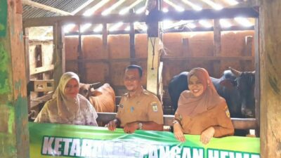 Camat Sukmawati Serahkan Bantuan 12 Ekor Sapi di Gampong Cot Mesjid