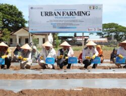 Kendalikan Inflasi, Pemko Banda Aceh dan BI Luncurkan Urban Farming