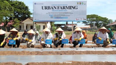 Kendalikan Inflasi, Pemko Banda Aceh dan BI Luncurkan Urban Farming