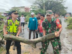 Sinergitas TNI Polri dan Warga Sigap Bersihkan Pohon Tumbang di Banda Aceh
