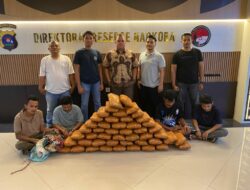 Polisi Gagalkan Peredaran 47 Kg Ganja, 4 Tersangka Ditangkap