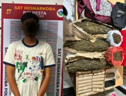 Satresnarkoba Polresta Banda Aceh Amankan 3,7 Kg Ganja dan Tersangka