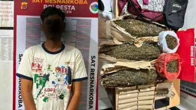 Satresnarkoba Polresta Banda Aceh Amankan 3,7 Kg Ganja dan Tersangka