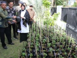 Kendalikan Inflasi dan Kemiskinan, Pemko Banda Aceh Galakkan Gerakan Menanam