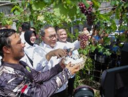 Menko Pangan Tinjau Koperasi Desa Merah Putih di Banda Aceh 