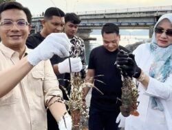 Ketua DPRK: Ulee Lheue Merupakan Tempat Budidaya Lobster Potensial di Aceh