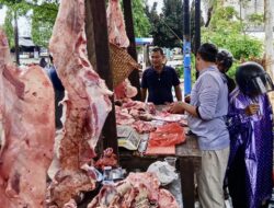 Lampaui Target! Kolaborasi Pemko Banda Aceh Berhasil Tekan Harga Daging Meugang Hingga 12 Ton Terjual