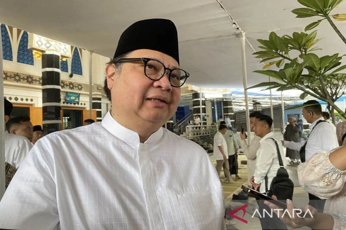 Menteri Koordinator Bidang Perekonomian, Airlangga Hartarto. Foto: Antara